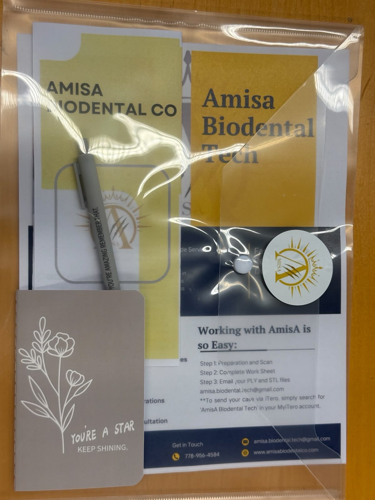 AmisA Biodental Co. — program materials